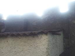 castlepark gate - 10290.jpg
